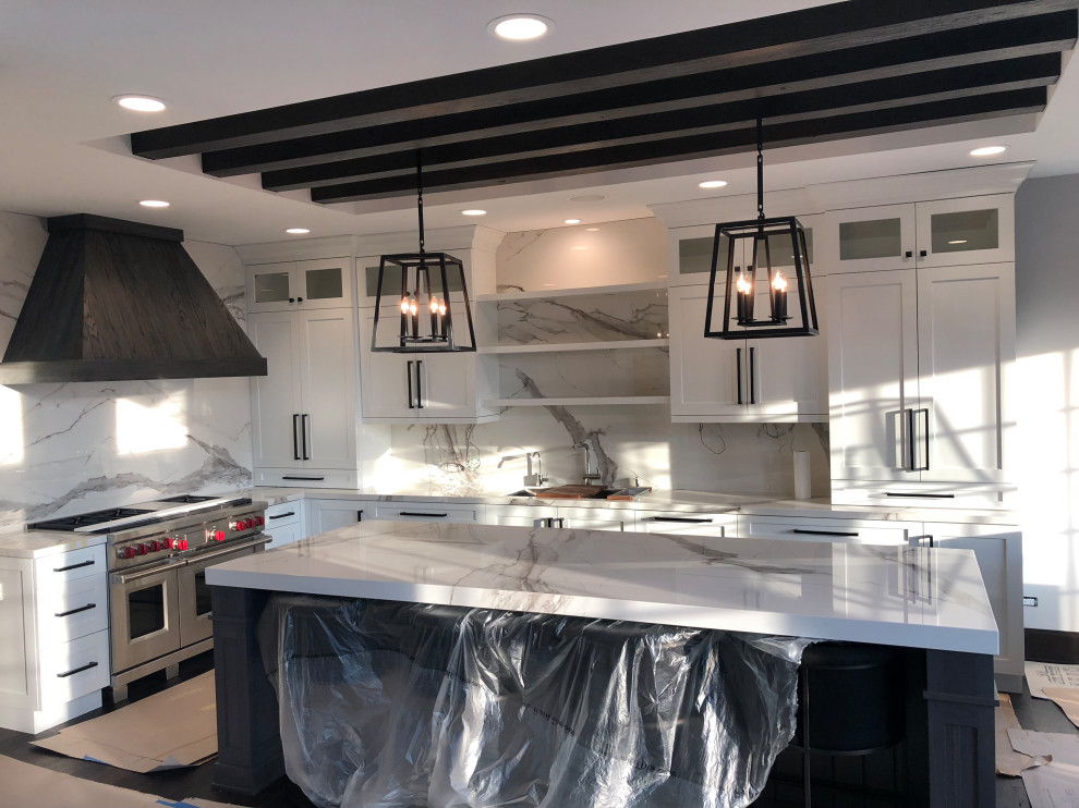 Kitchen - transitional kitchen idea in Chicago
