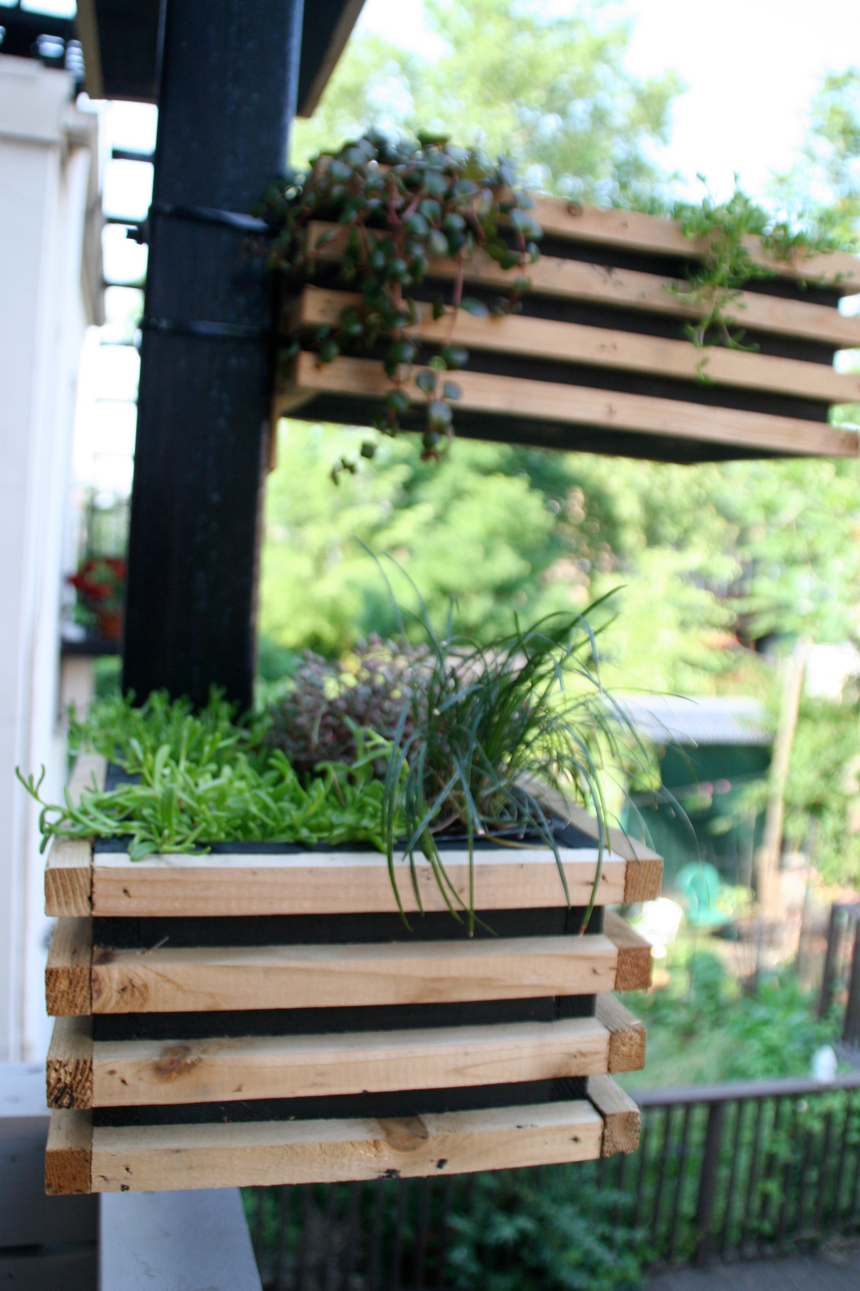 Urban Terrace Garden