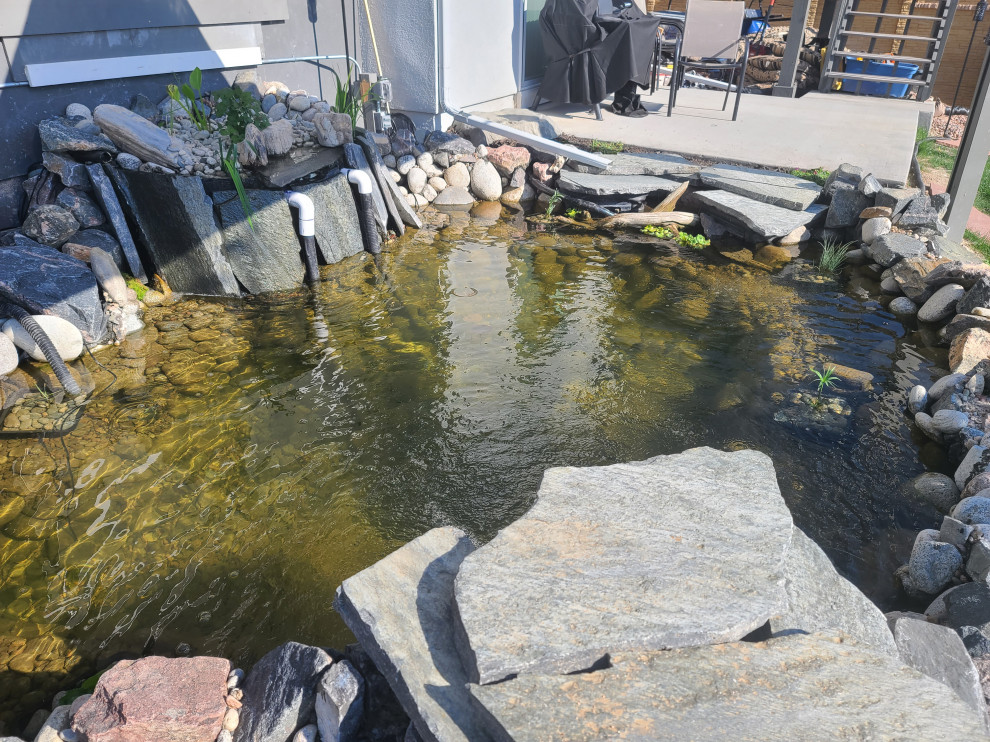 Custom✨ Koi Pond