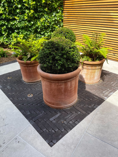 A Contemporary Hale Garden contemporary-garden