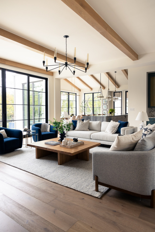 Inspiration for a transitional living room remodel in Dallas