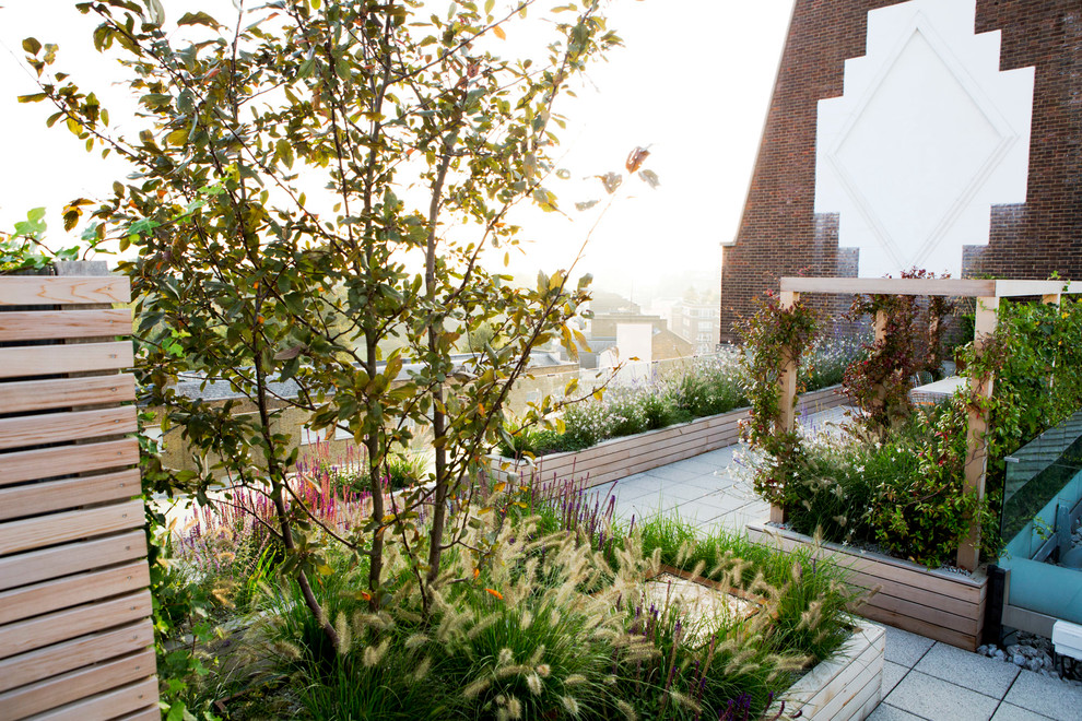 Large modern rooftop full sun garden in London.