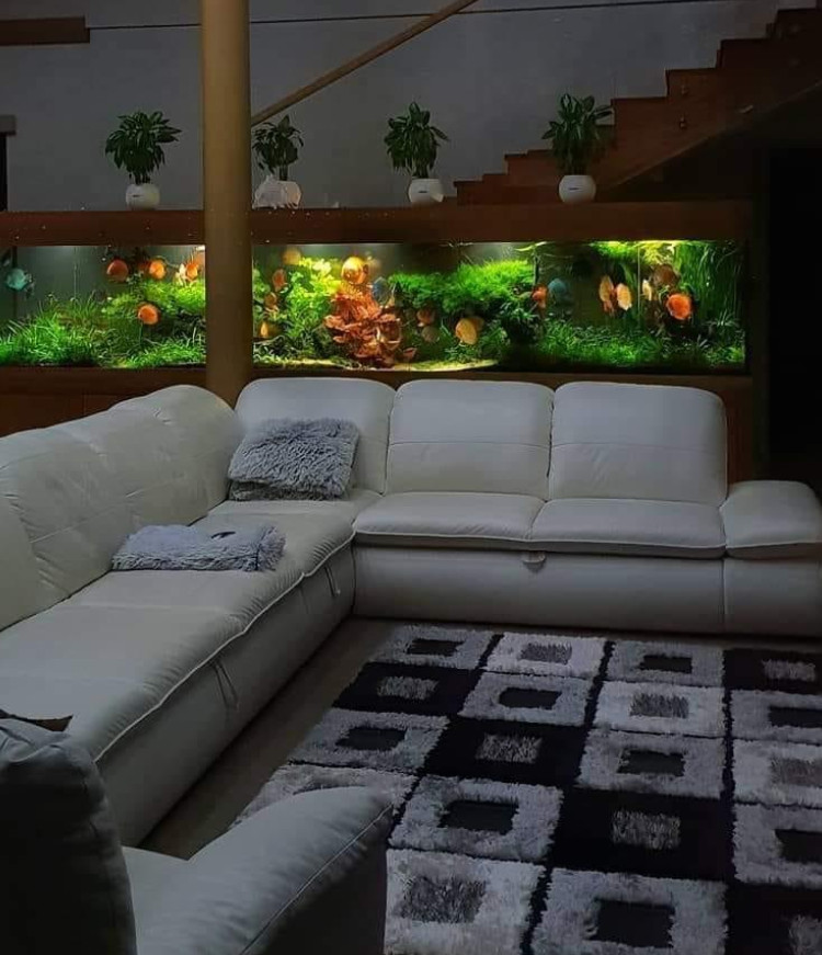 Природный аквариум - релакс и умиротворение!