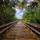 sam_campanelli