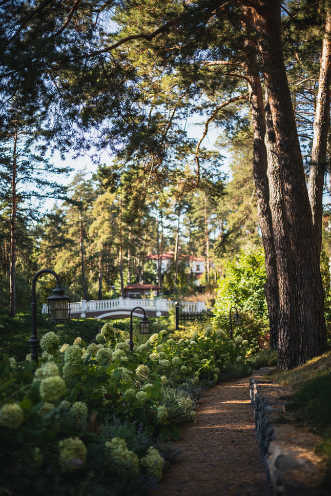 Сад в лесу в Московской области