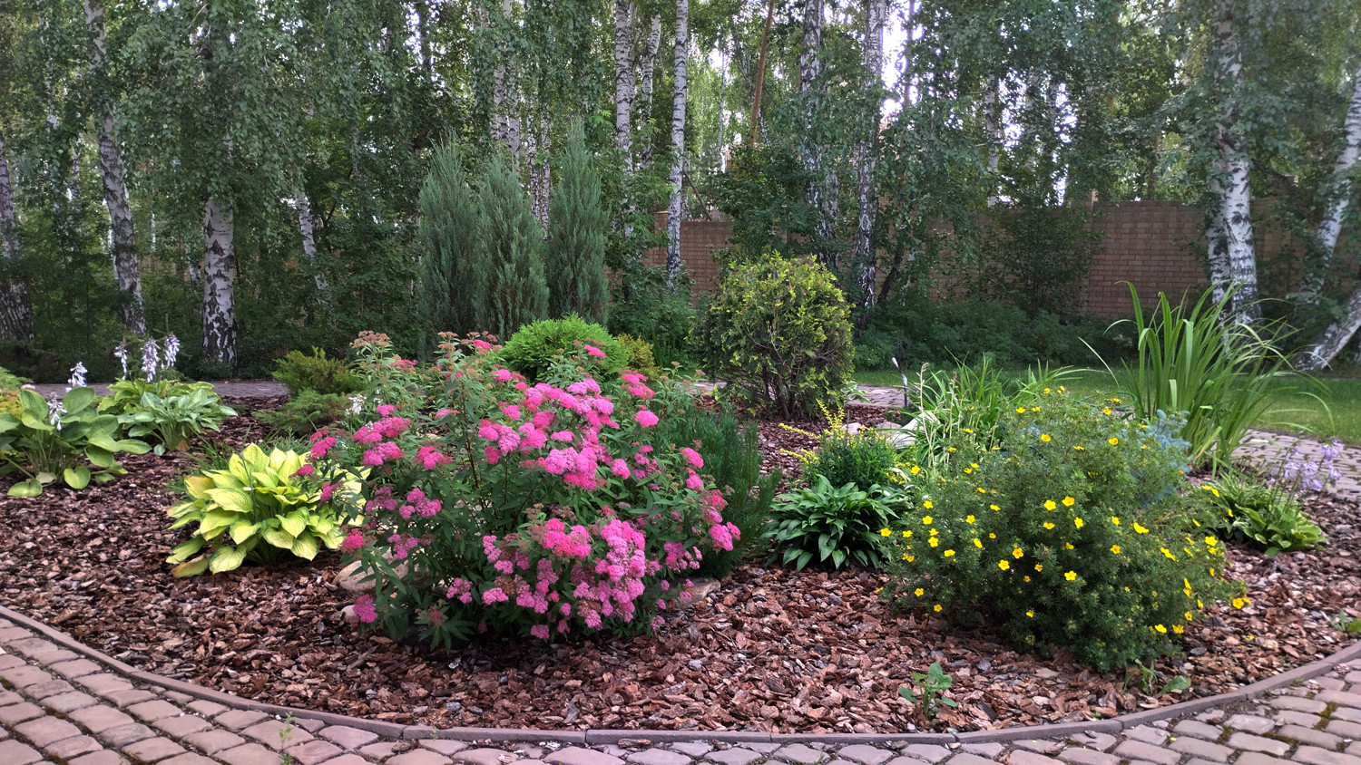 Проект лесного участка "Скалки"