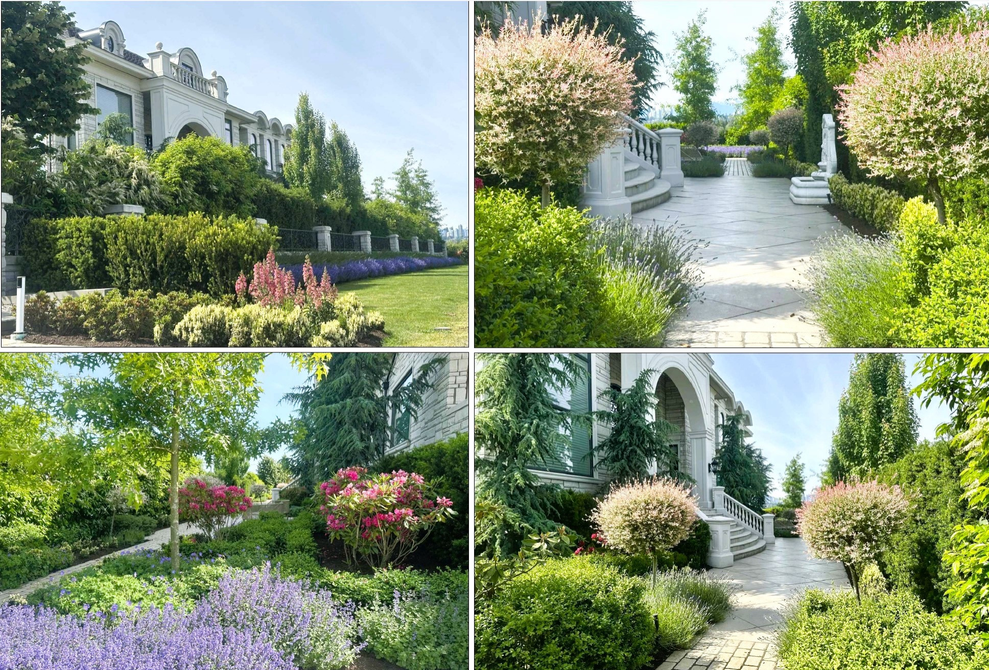 A French Themed Garden