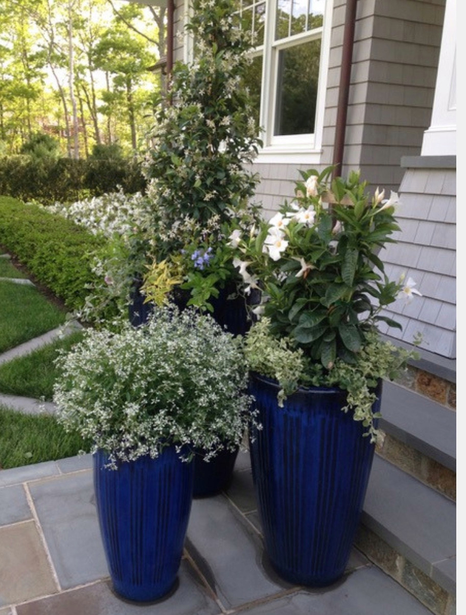 Spring and Summer Container Gardens