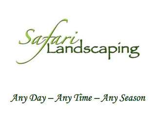 safari landscaping melrose