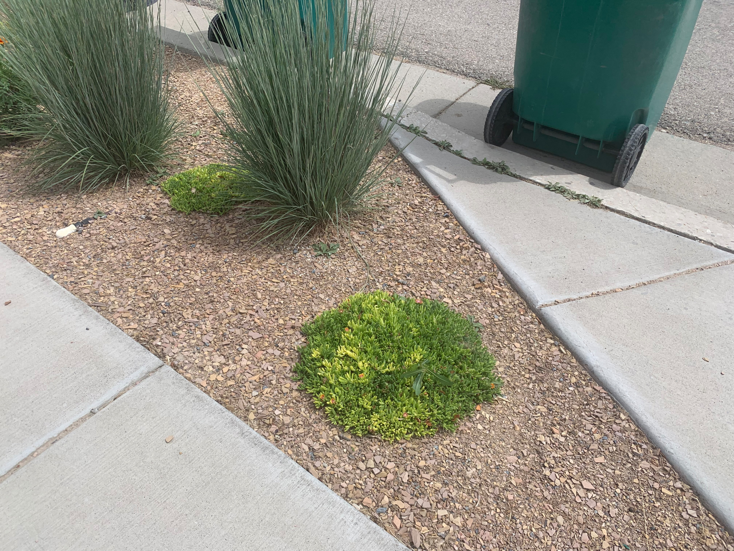 Flip-Your-Strip with Flagstone Chips