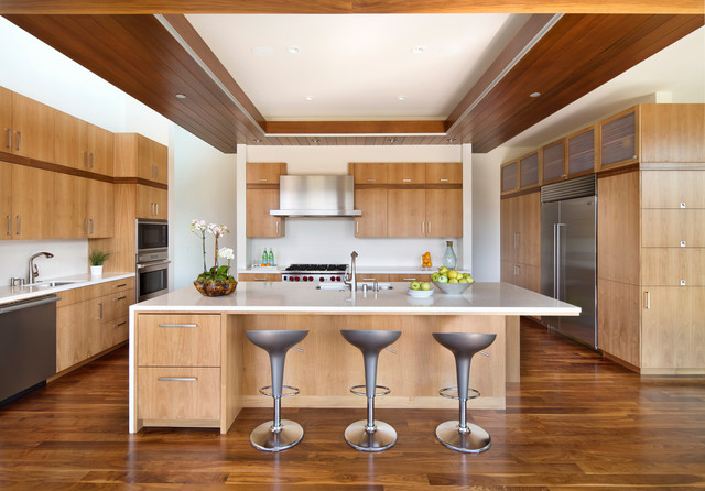 Contemporary Kitchen trendy-koekken