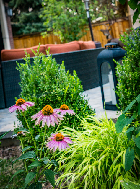 Hardscapes in Small Spaces contemporary-garden