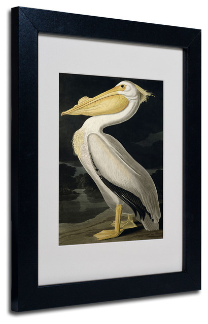 'American White Pelican' Matted Framed Canvas Art by John James Audubon ...
