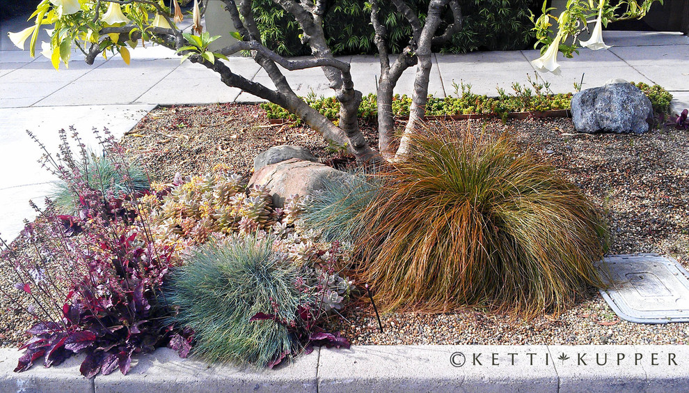 Photo of a small contemporary partial sun front yard gravel garden path in Los Angeles.