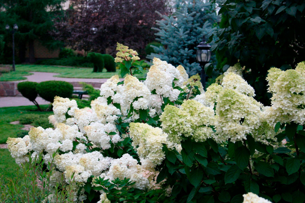 Нижегородский дворик