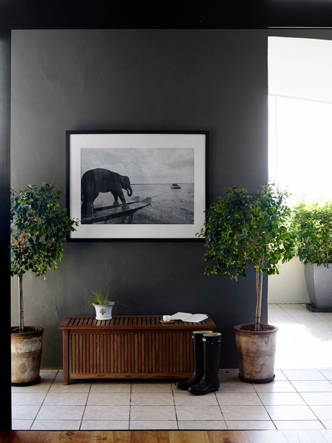 New Farm Apartment transitional-entry