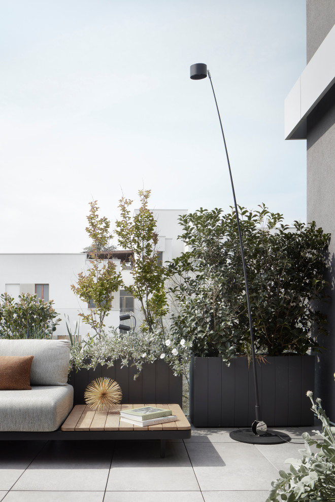 Idee per una grande terrazza minimalista sul tetto e sul tetto con un giardino in vaso, nessuna copertura e parapetto in vetro