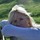Last commented by Erica Fanning