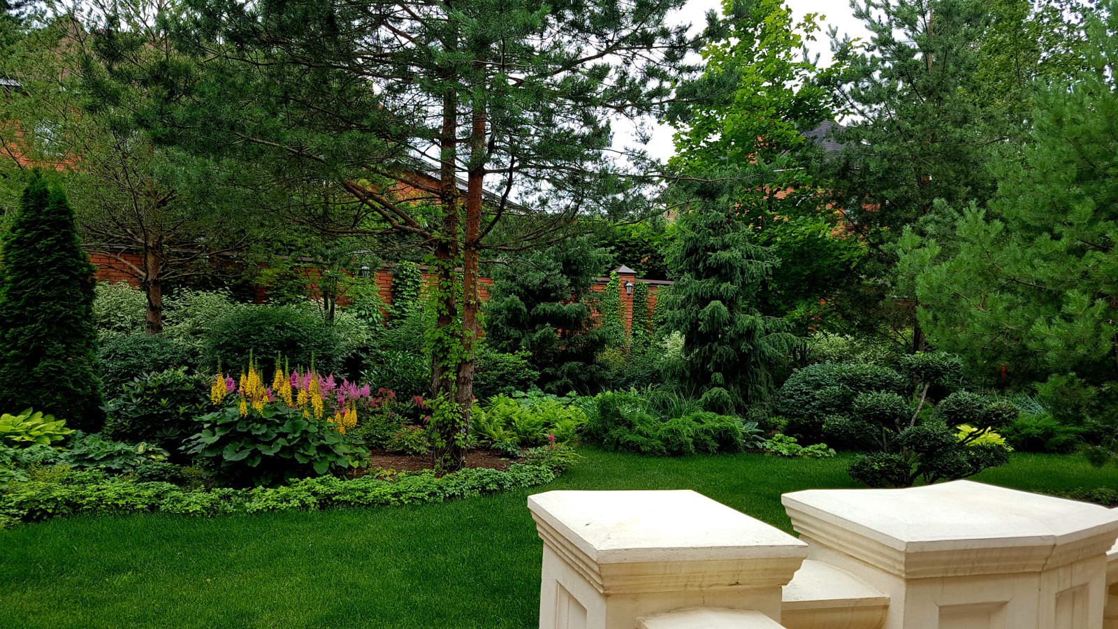 Сад с аурой