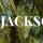 Jacksonville Tree Service