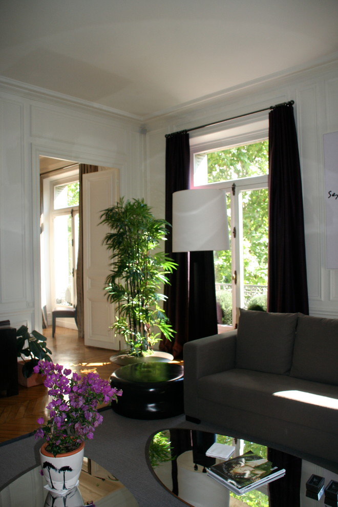 Klassisches Wohnzimmer in Paris