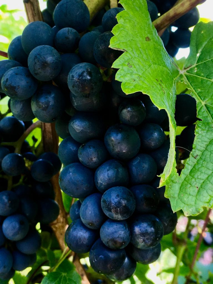 Преображение