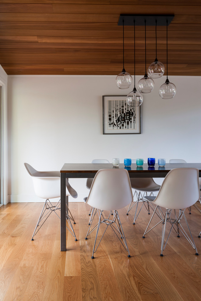 Photo of a midcentury dining room in Seattle with white walls, medium hardwood floors and brown floor.