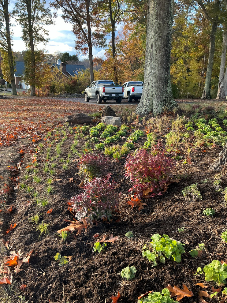 Impactful, serene and native entrance.