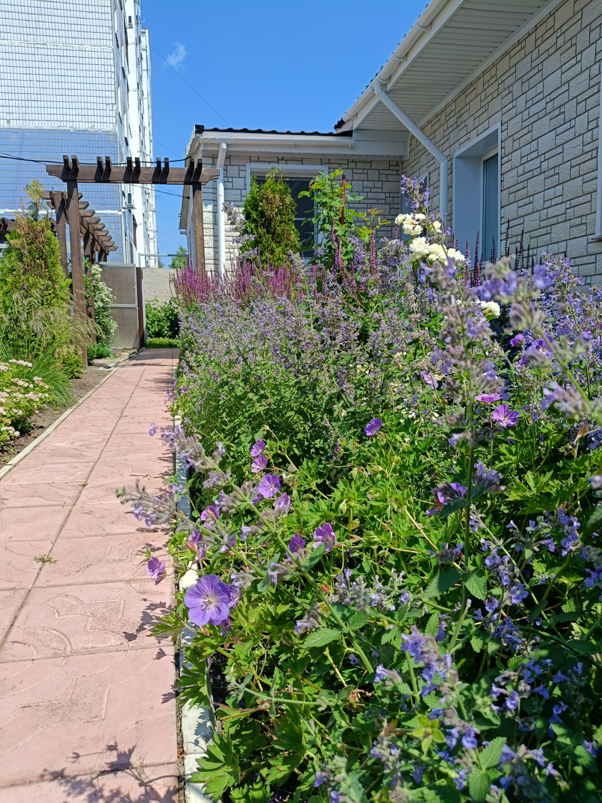 Сад на 2,5 сотках