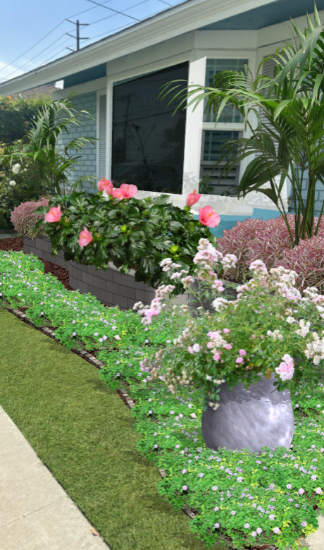 Foundation Plantings