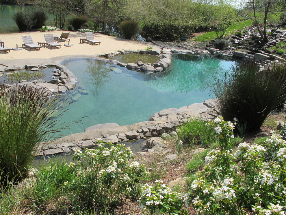 This is an example of a large beach style backyard custom-shaped natural pool in San Francisco with natural stone pavers.
