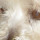 doris_roman2
