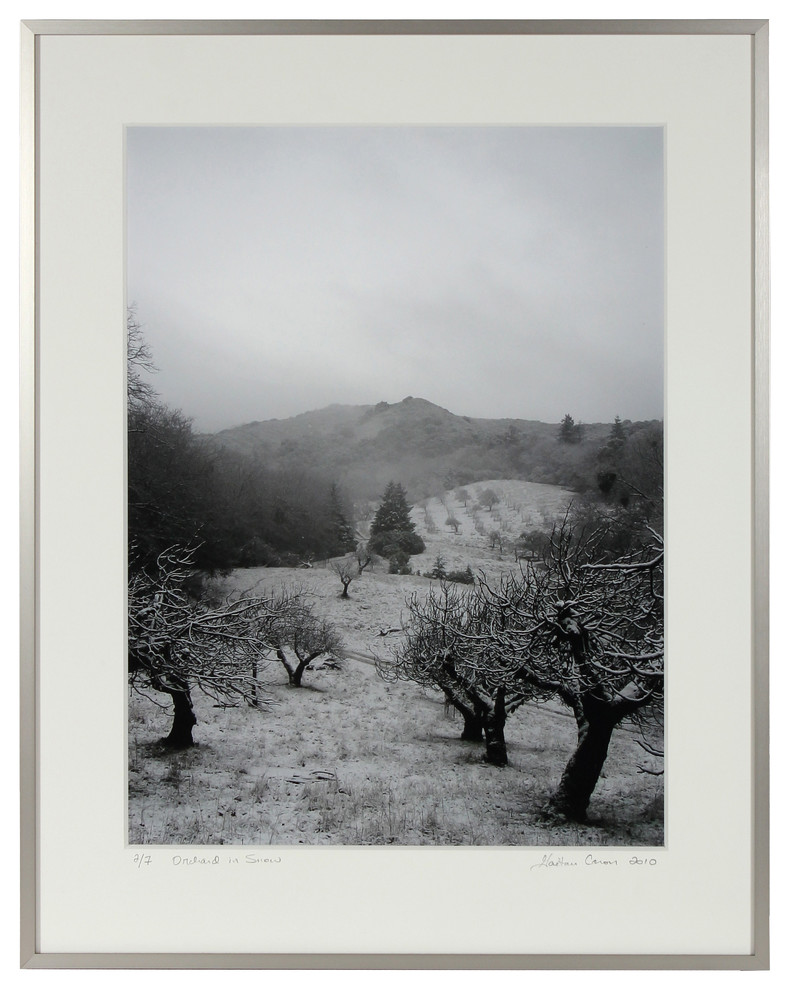 ‘Old Orchard in Snow’ Original Photograph