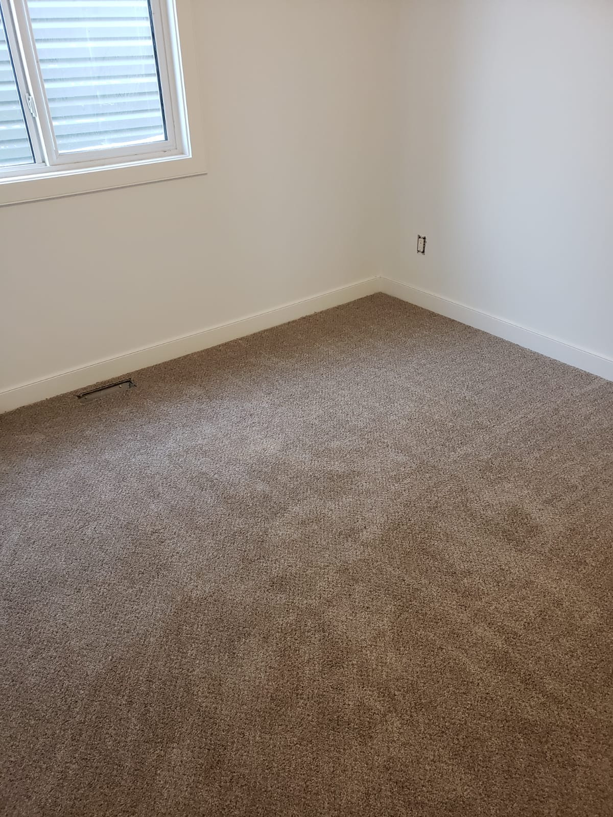 Carpet