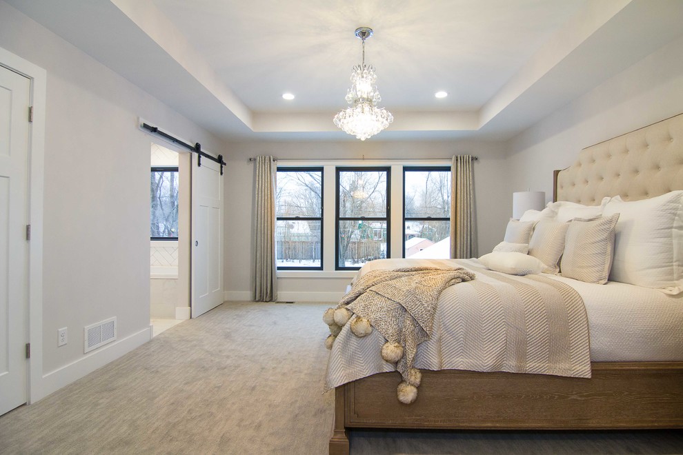 Design ideas for a transitional bedroom in Minneapolis.