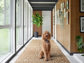 AIR-RUG CORRIDOR
