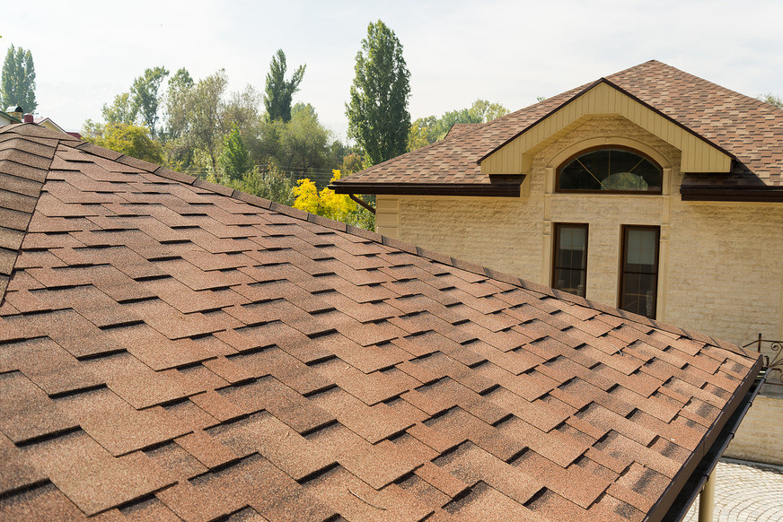 Гибкая черепица ТЕХНОНИКОЛЬ SHINGLAS, коллекция РУМБА, цвет АРАХИС