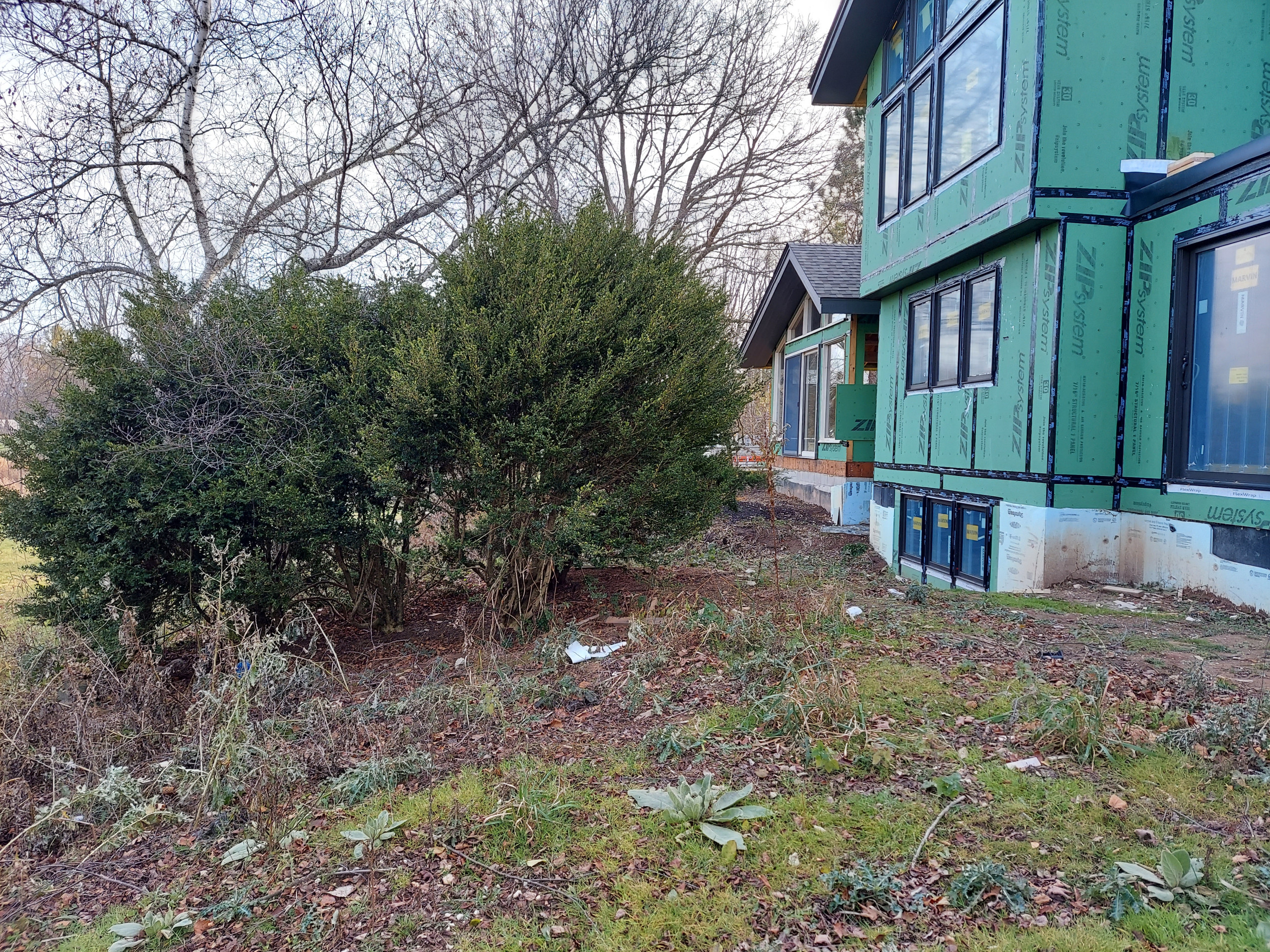 Mid-Century Front + Backyard Deck + Koi Pond Landscape - Mequon, WI