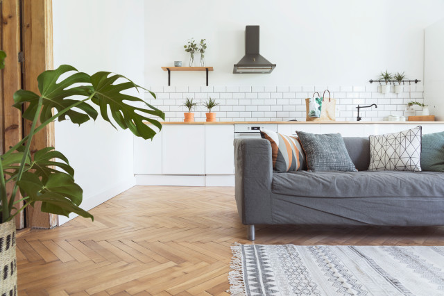 Hartington Project Flat 4 scandinavian-living-room