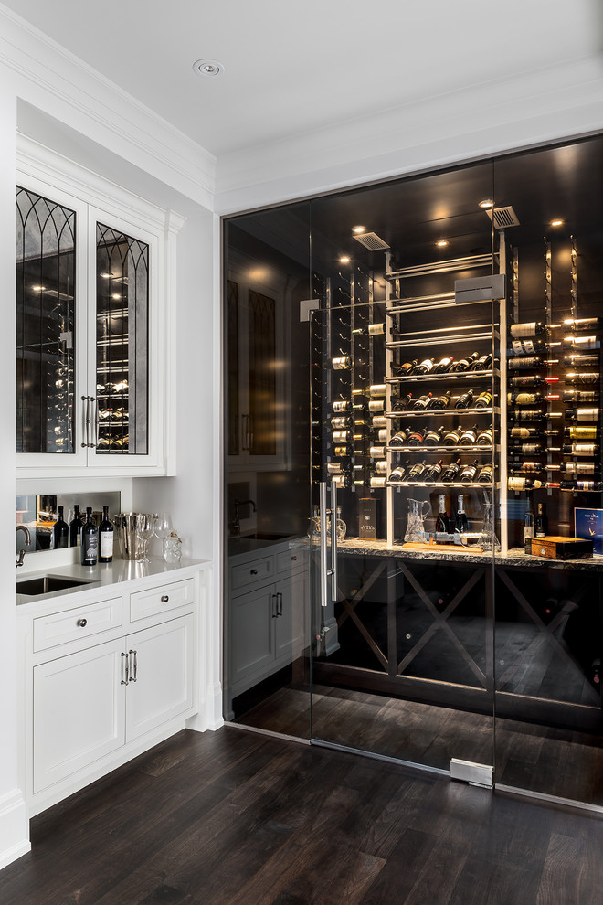 This is an example of a mid-sized contemporary wine cellar in Toronto with dark hardwood floors, storage racks and brown floor.