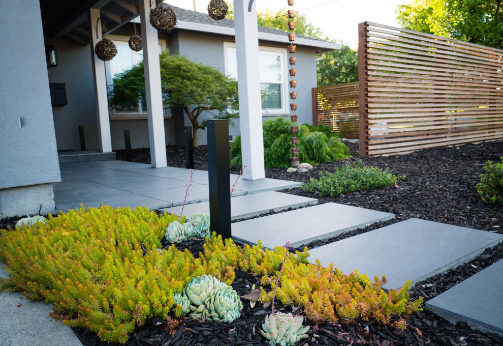 Inspiration for a contemporary courtyard garden in San Francisco with a wood fence.