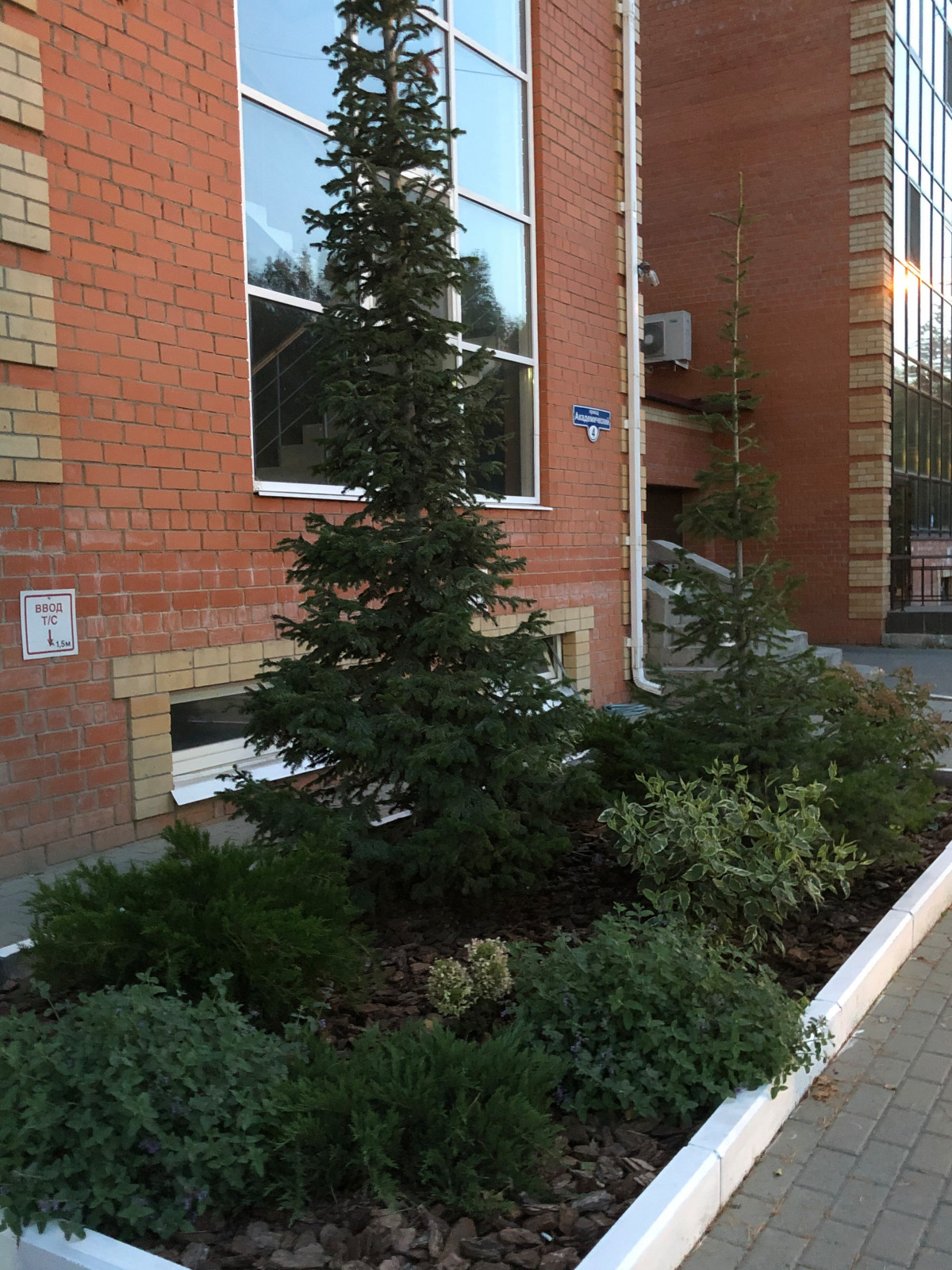 Зеленый уголок в каменных джунглях