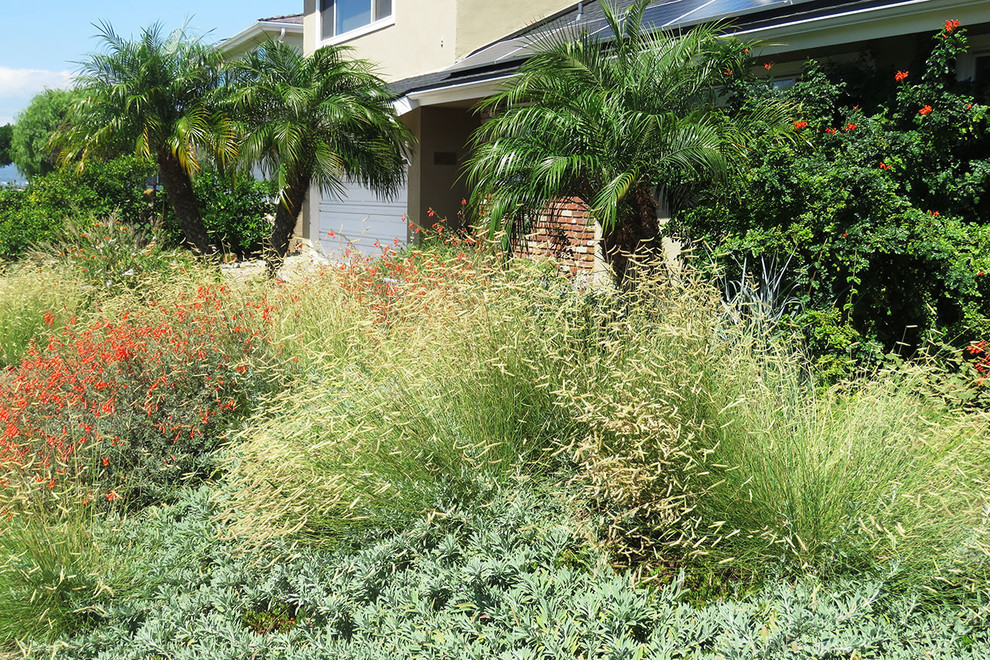 2016 Native Plant Garden Tour - Landscape - Los Angeles - by Theodore