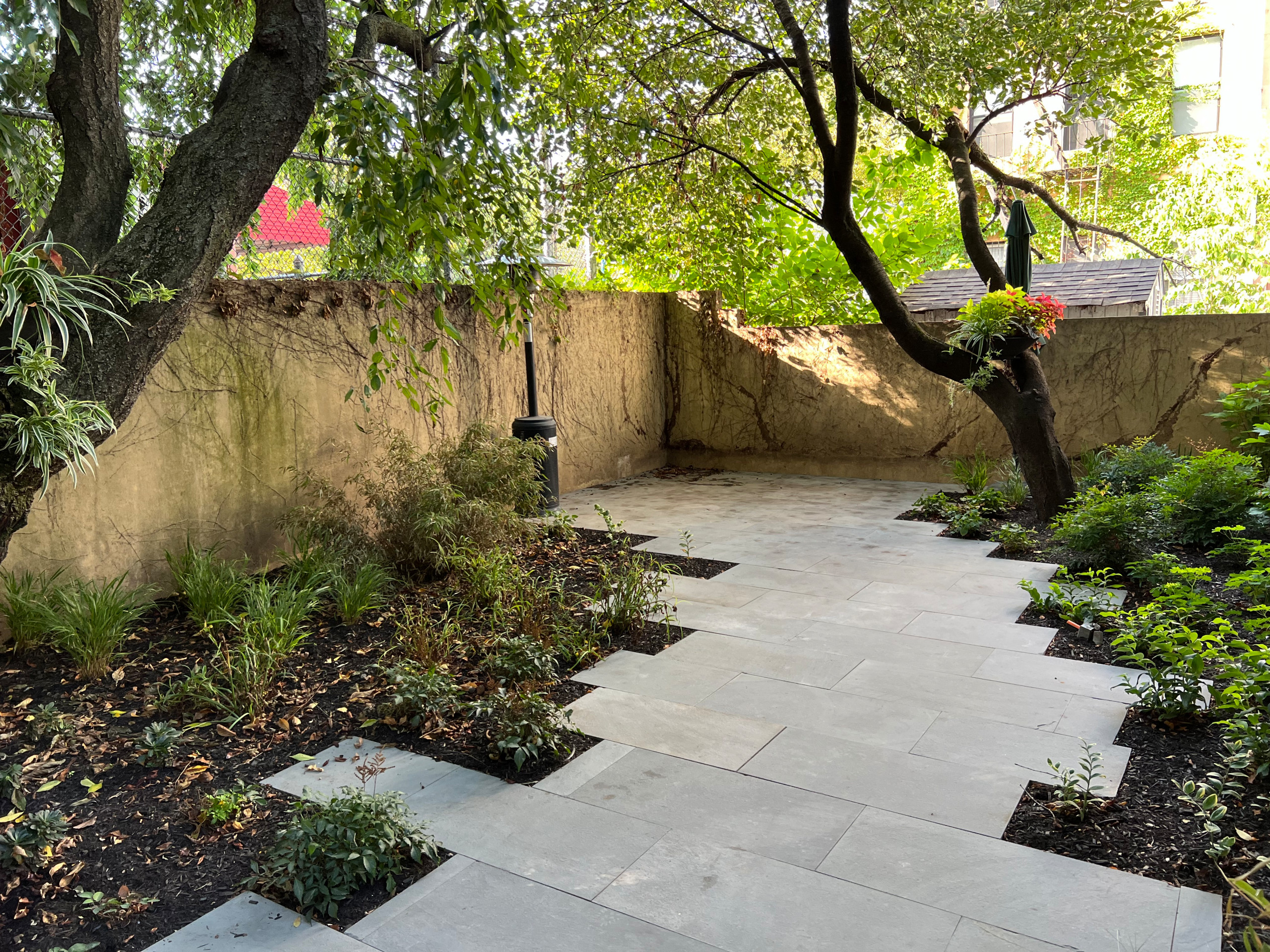 Modern Urban Shade Garden