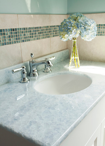 Transitional home design photo in Boston