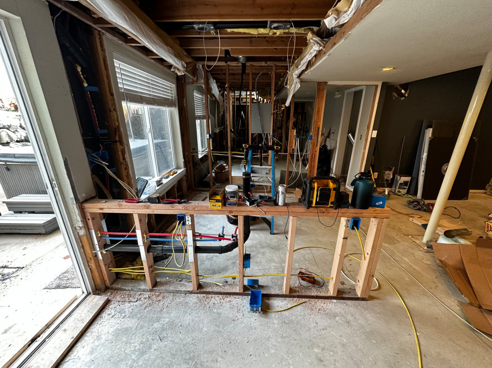 Federal Way Basement Remodel