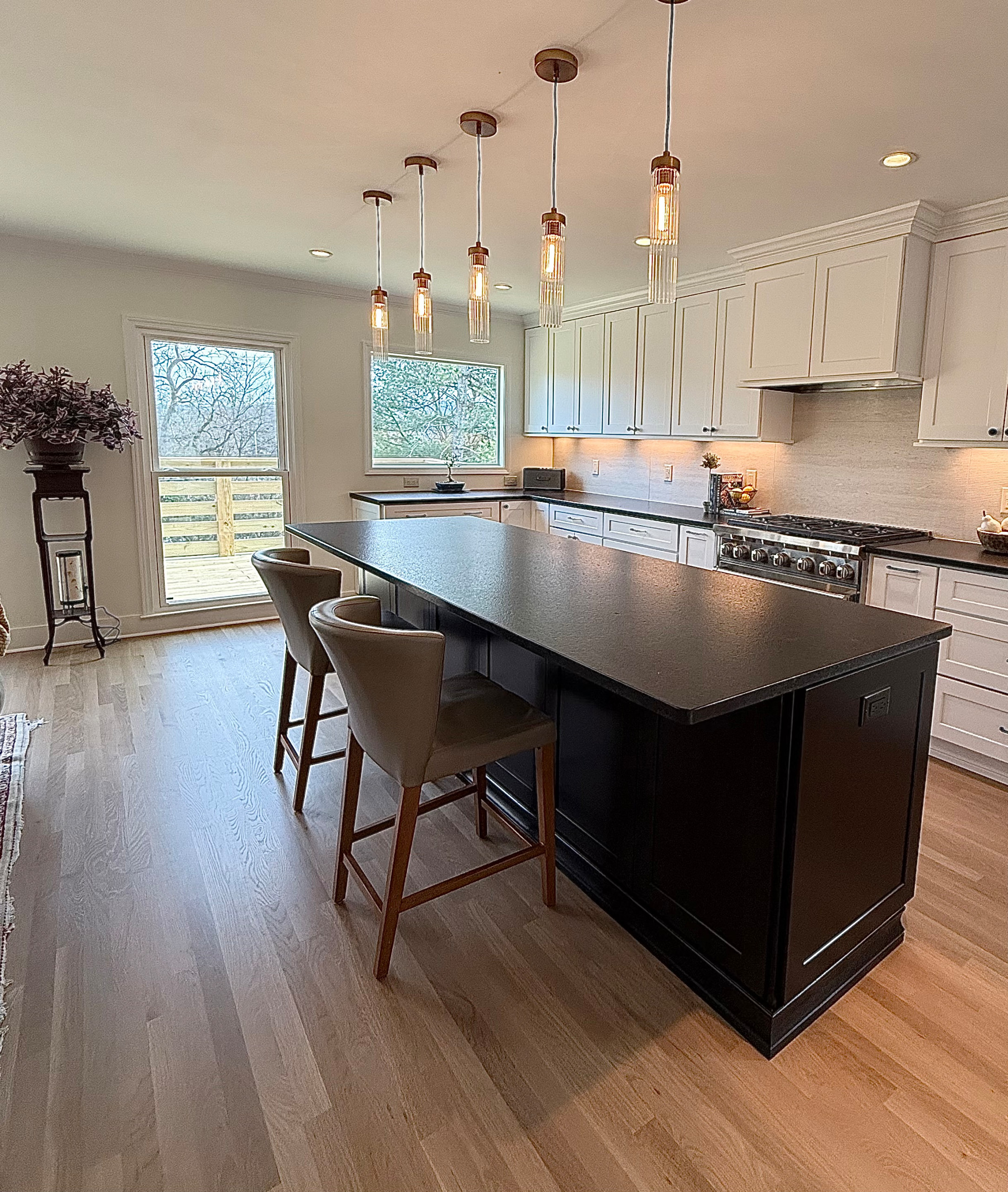 Franklin Complete Kitchen and LR Reno