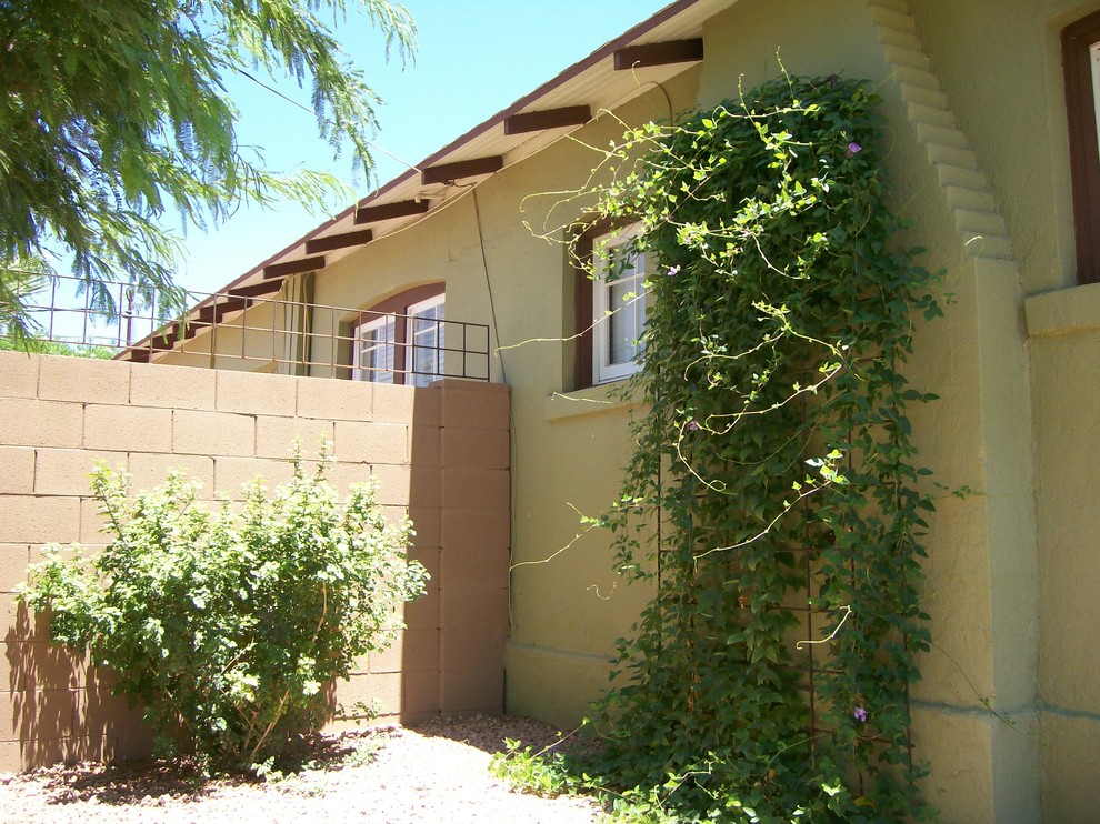 Design ideas for a transitional backyard gravel landscaping in Phoenix.