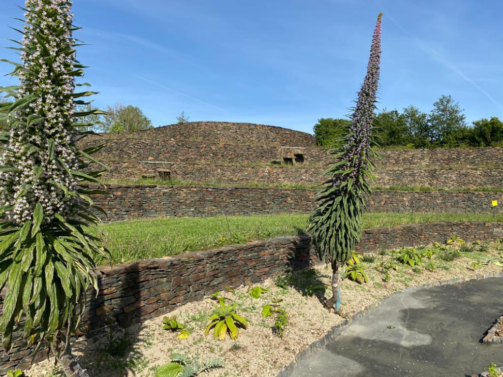 Esempio di un ampio giardino formale chic esposto in pieno sole in estate con un muro di contenimento, un pendio, una collina o una riva, pavimentazioni in pietra naturale e recinzione in pietra