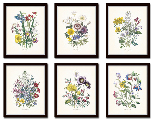 Fleurs de Jardin Botanical Print No. 15 Unframed Prints And Posters